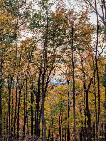 260 Tranquility Ln, Liberty, TN 37095