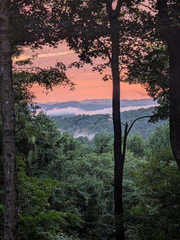 260 Tranquility Ln, Liberty, TN 37095