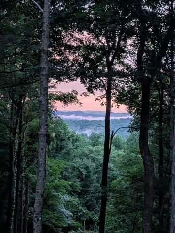 260 Tranquility Ln, Liberty, TN 37095