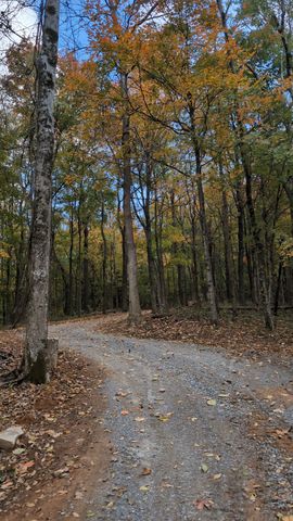 260 Tranquility Ln, Liberty, TN 37095