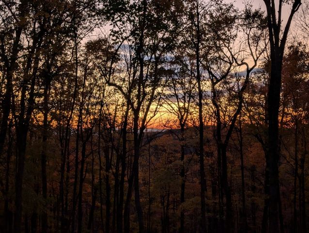 260 Tranquility Ln, Liberty, TN 37095
