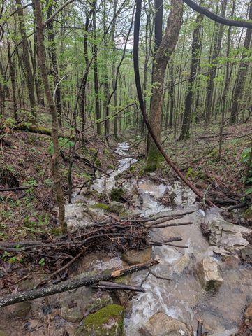 260 Tranquility Ln, Liberty, TN 37095