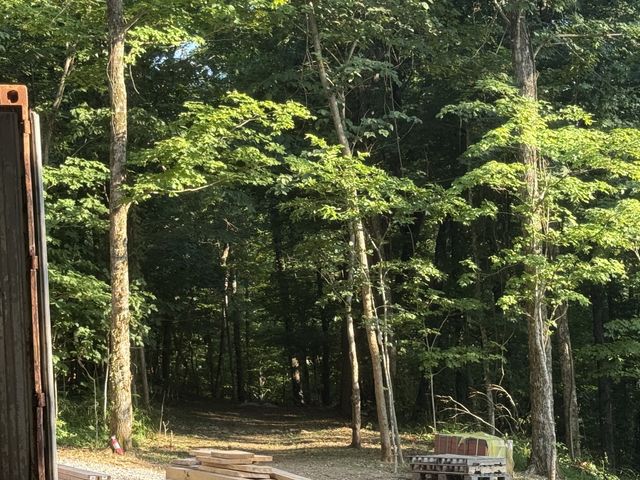 260 Tranquility Ln, Liberty, TN 37095
