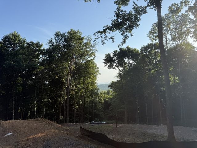 260 Tranquility Ln, Liberty, TN 37095