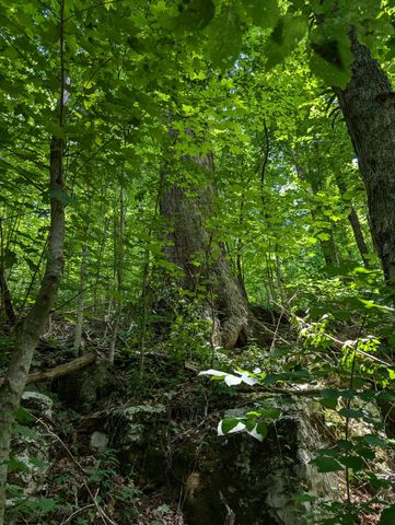 260 Tranquility Ln, Liberty, TN 37095