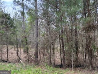 0 Hornets Bridge Drive, Elberton, GA 30635