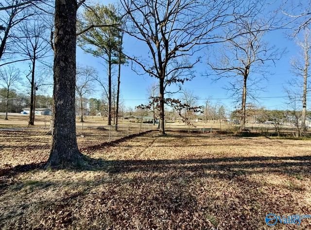 112 Park Street, Centre, AL 35960