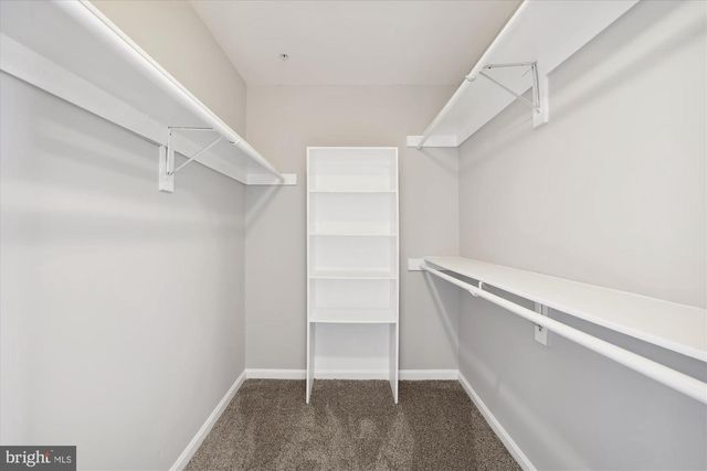 8114 MALLARD SHORE DR, Laurel, MD 20724