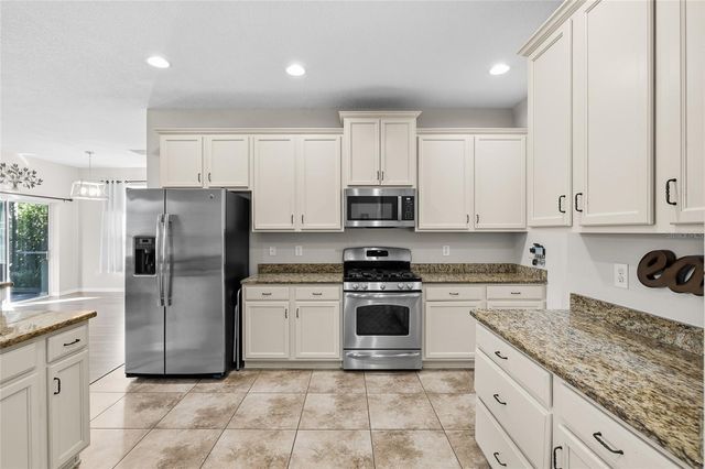 15861 STARLING WATER DRIVE, Lithia, FL 33547