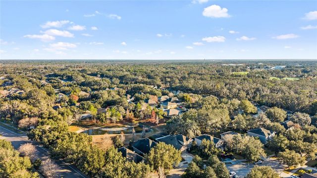 15861 STARLING WATER DRIVE, Lithia, FL 33547