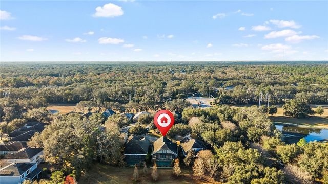 15861 STARLING WATER DRIVE, Lithia, FL 33547