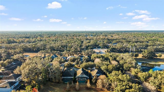 15861 STARLING WATER DRIVE, Lithia, FL 33547