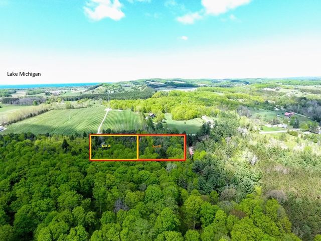Lot A E Bodus Road, Cedar, MI 49621