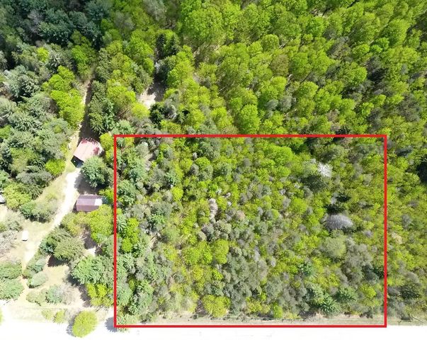 Lot A E Bodus Road, Cedar, MI 49621