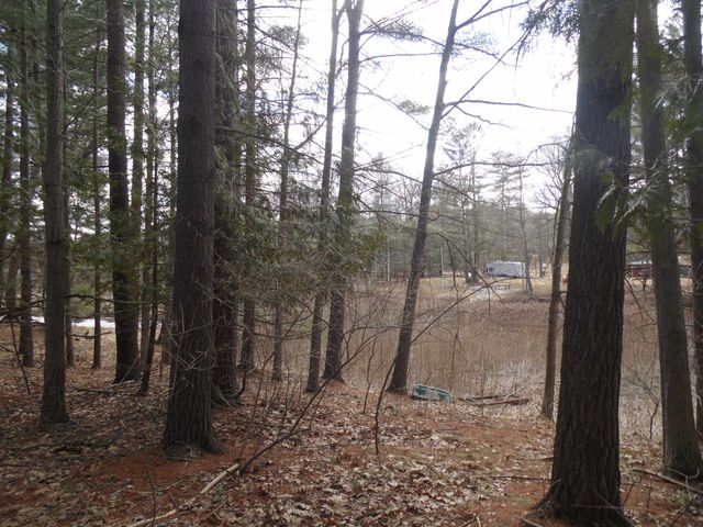 1741 S Whitney Road, Beaverton, MI 48612