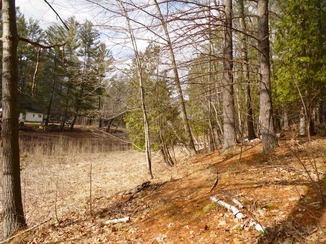 1741 S Whitney Road, Beaverton, MI 48612