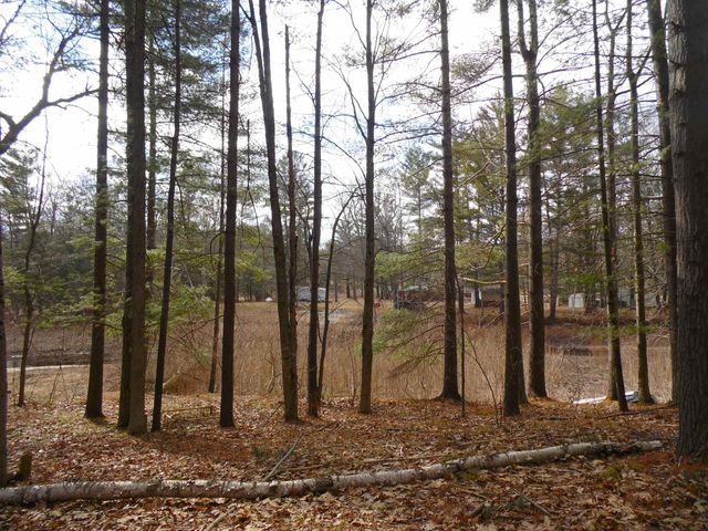1741 S Whitney Road, Beaverton, MI 48612