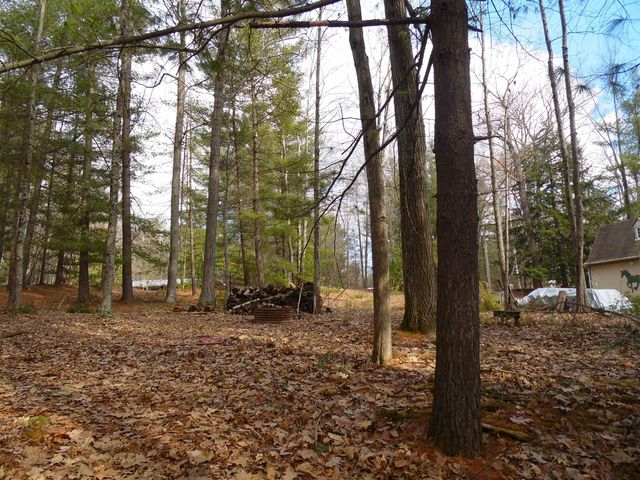 1741 S Whitney Road, Beaverton, MI 48612