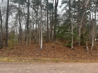 101 S Royale Greens Drive, Coldspring, TX 77331