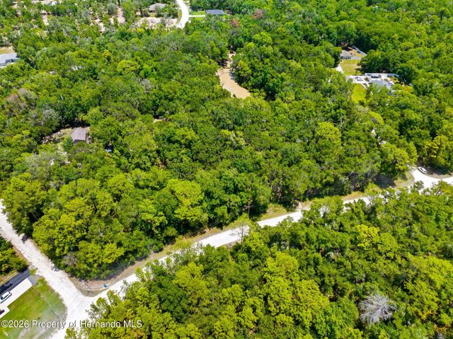 0 Ricebird Avenue, Weeki Wachee, FL 34614