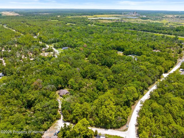 0 Ricebird Avenue, Weeki Wachee, FL 34614