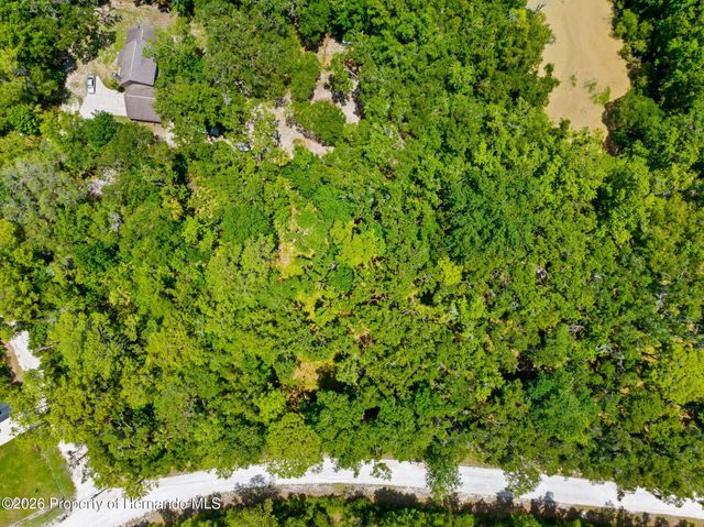 0 Ricebird Avenue, Weeki Wachee, FL 34614