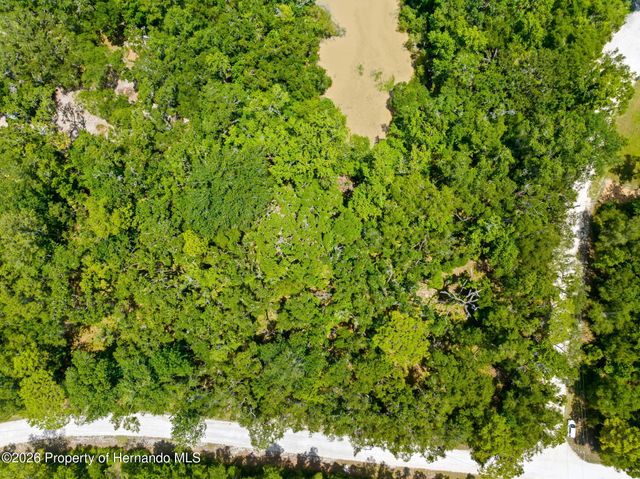 0 Ricebird Avenue, Weeki Wachee, FL 34614