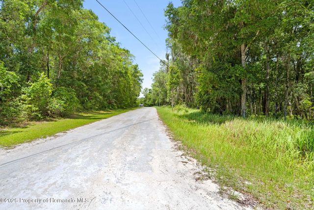 0 Ricebird Avenue, Weeki Wachee, FL 34614