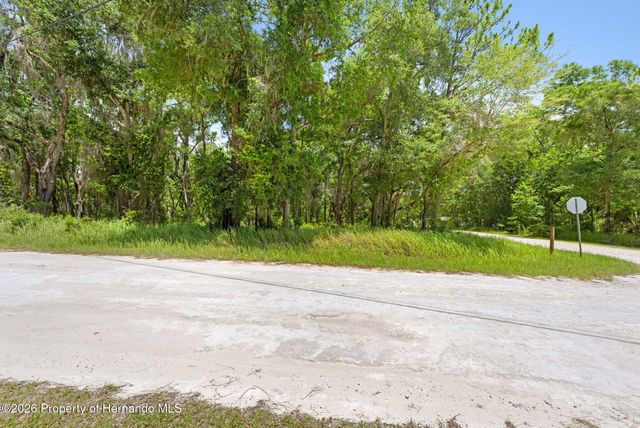 0 Ricebird Avenue, Weeki Wachee, FL 34614