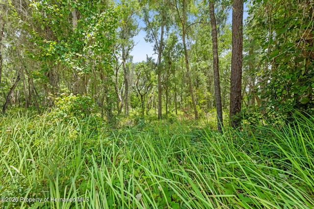 0 Ricebird Avenue, Weeki Wachee, FL 34614