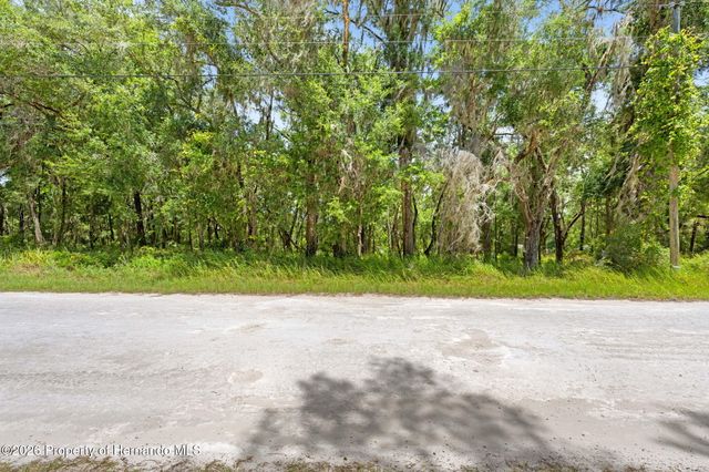 0 Ricebird Avenue, Weeki Wachee, FL 34614