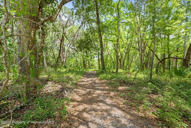 0 Ricebird Avenue, Weeki Wachee, FL 34614