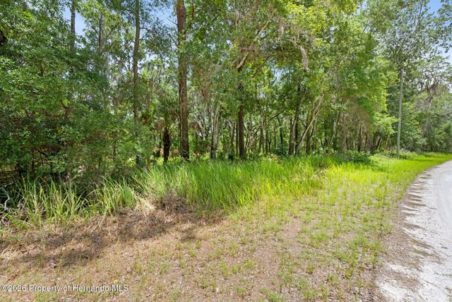 0 Ricebird Avenue, Weeki Wachee, FL 34614