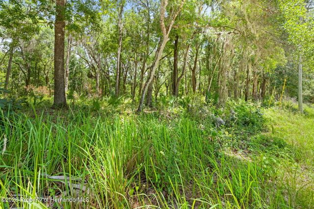 0 Ricebird Avenue, Weeki Wachee, FL 34614
