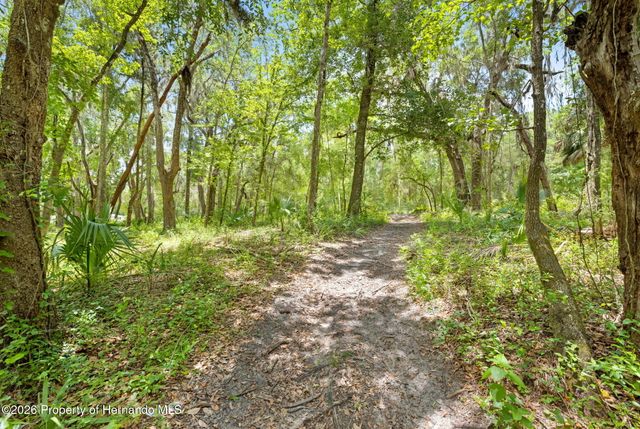 0 Ricebird Avenue, Weeki Wachee, FL 34614
