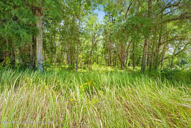 0 Ricebird Avenue, Weeki Wachee, FL 34614