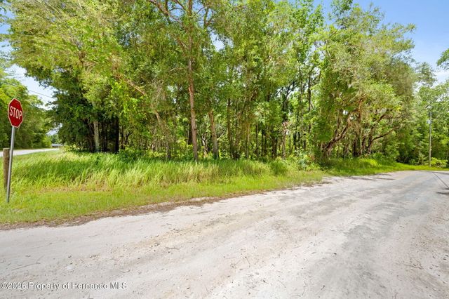 0 Ricebird Avenue, Weeki Wachee, FL 34614