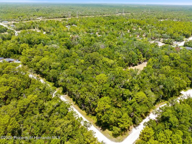 0 Ricebird Avenue, Weeki Wachee, FL 34614