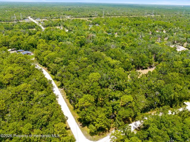 0 Ricebird Avenue, Weeki Wachee, FL 34614