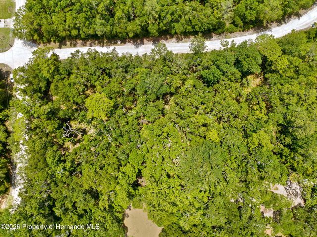 0 Ricebird Avenue, Weeki Wachee, FL 34614