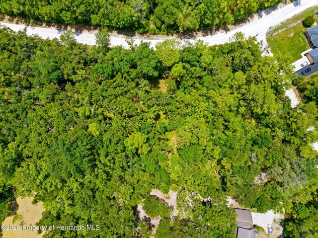 0 Ricebird Avenue, Weeki Wachee, FL 34614