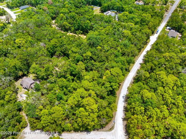 0 Ricebird Avenue, Weeki Wachee, FL 34614