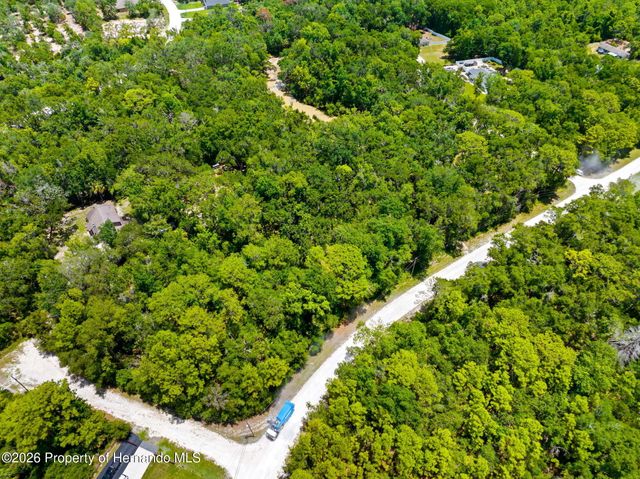 0 Ricebird Avenue, Weeki Wachee, FL 34614