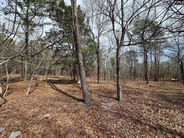 476 Calmont Drive, Swansea, SC 29160