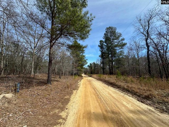 476 Calmont Drive, Swansea, SC 29160