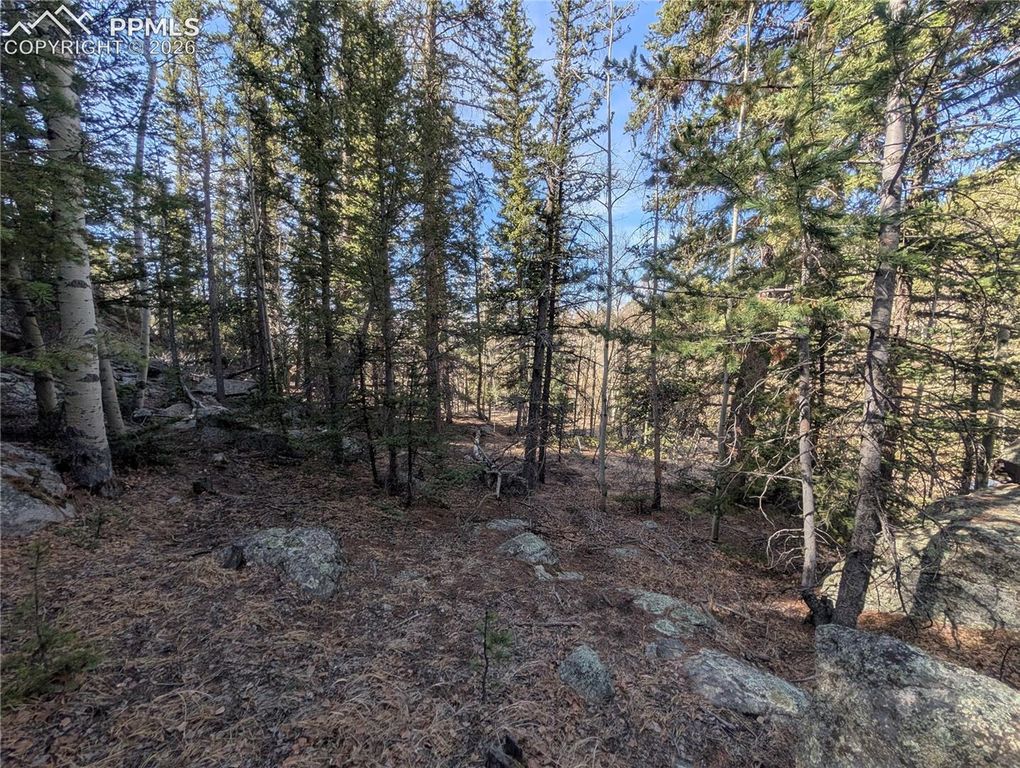 386 Brook Drive, Lake George, CO 80827 — exterior