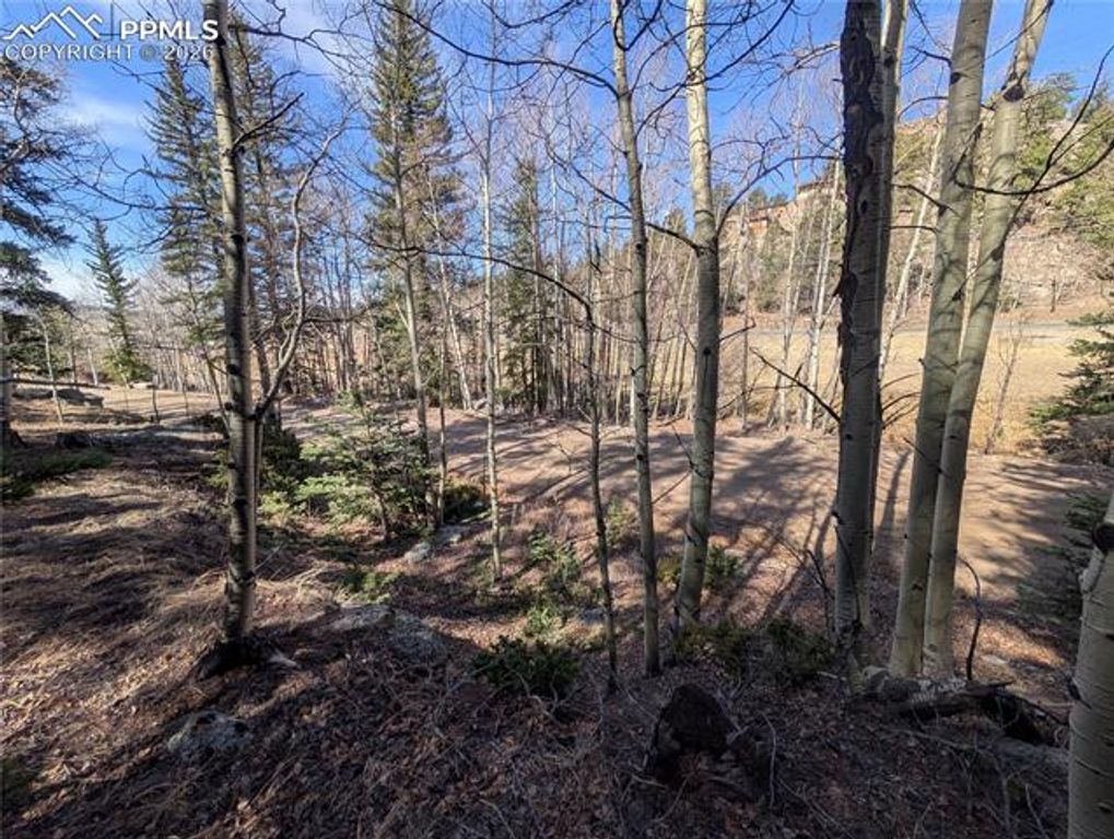 386 Brook Drive, Lake George, CO 80827 — photo 2