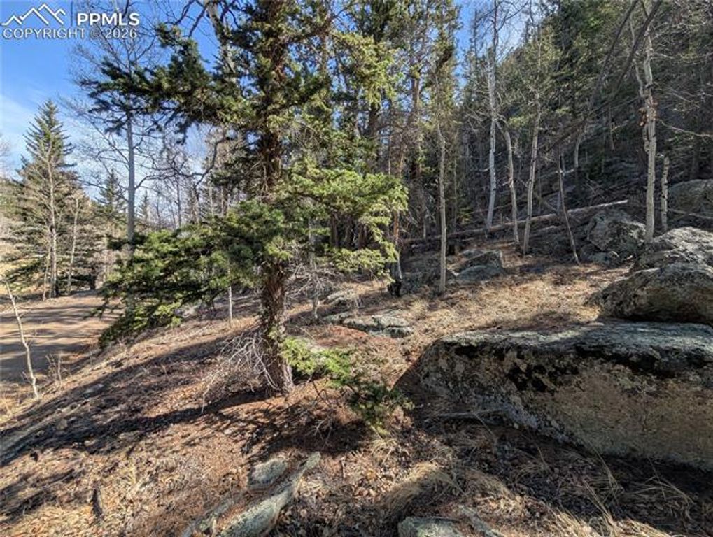 386 Brook Drive, Lake George, CO 80827 — photo 3