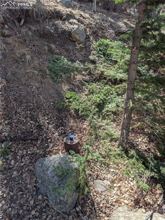 386 Brook Drive, Lake George, CO 80827 — photo 4