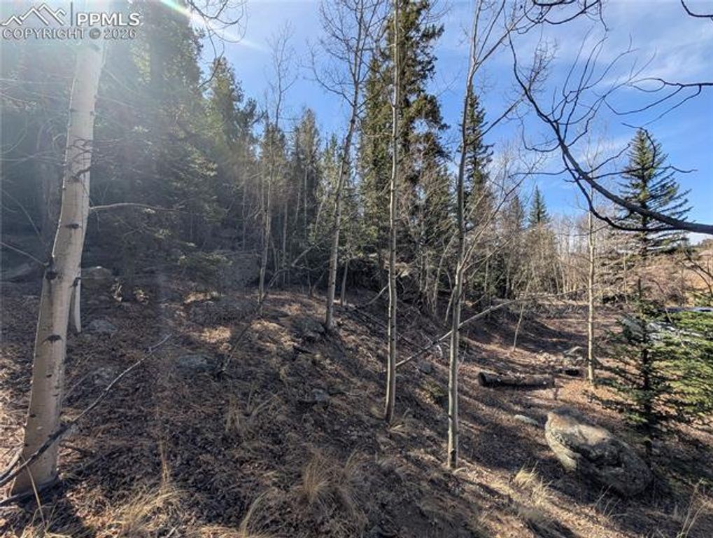 386 Brook Drive, Lake George, CO 80827 — photo 5